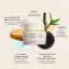 Haruharu WONDER - Black Rice 5 Ceramide Barrier Moisturizing Cream 50ml