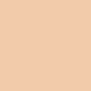#22N Shell Beige