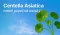 Centella Asiatica neboli pupečník asijský